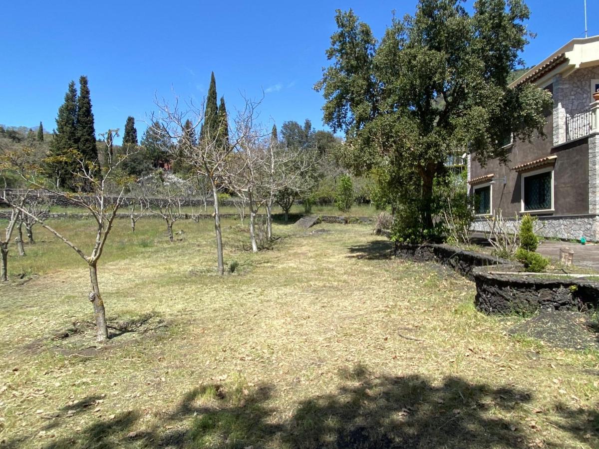 Villa Caterina, Alle Pendici Del Vulcano Etna Viagrande Exterior photo